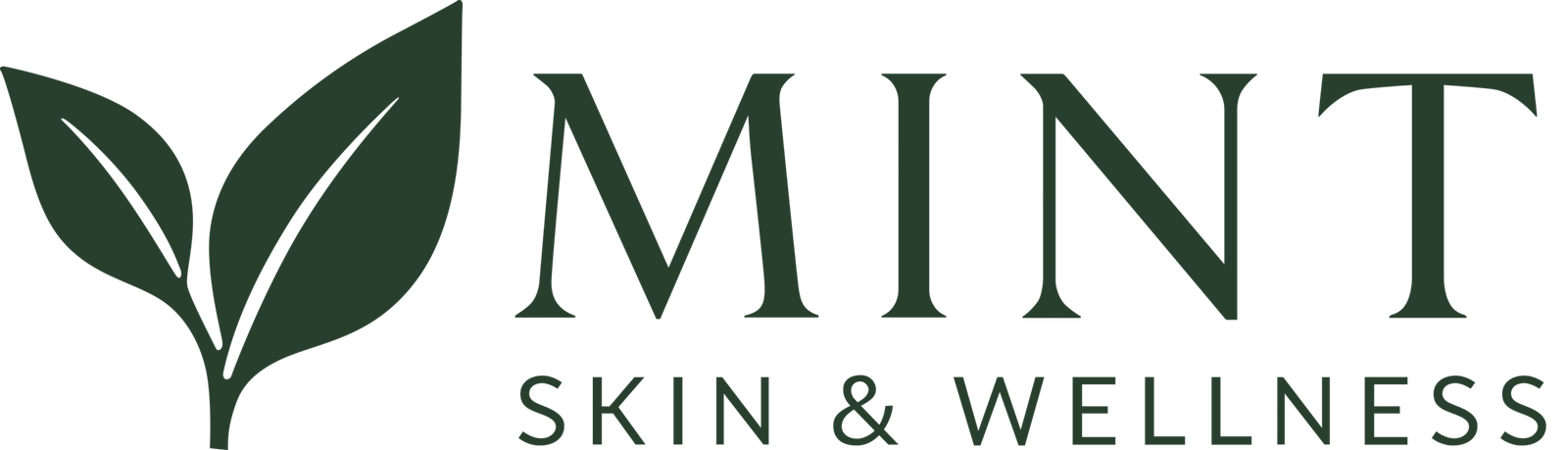 Mint Skin Wellness site